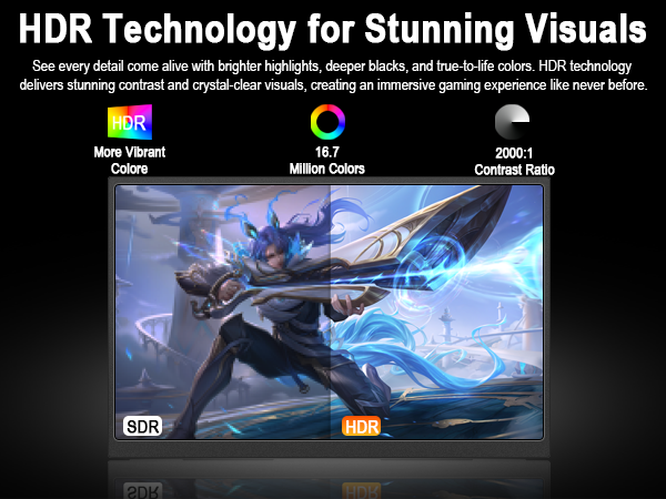 10 inch portable monitor