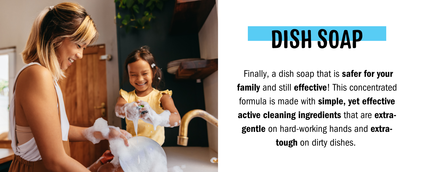 Dish Slide 2