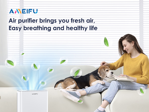 AMEIFU Air Purifier