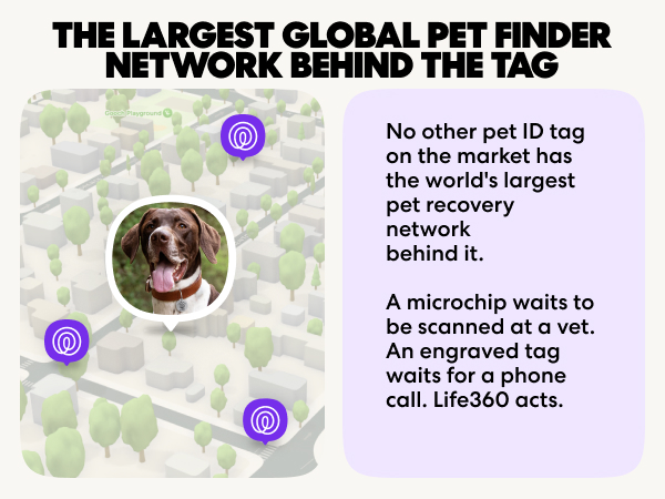 The network behind the tag.