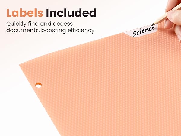 heavy duty 2 pockets folders with writable label