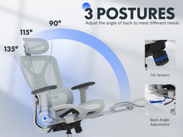 flexispot C7 task chairi