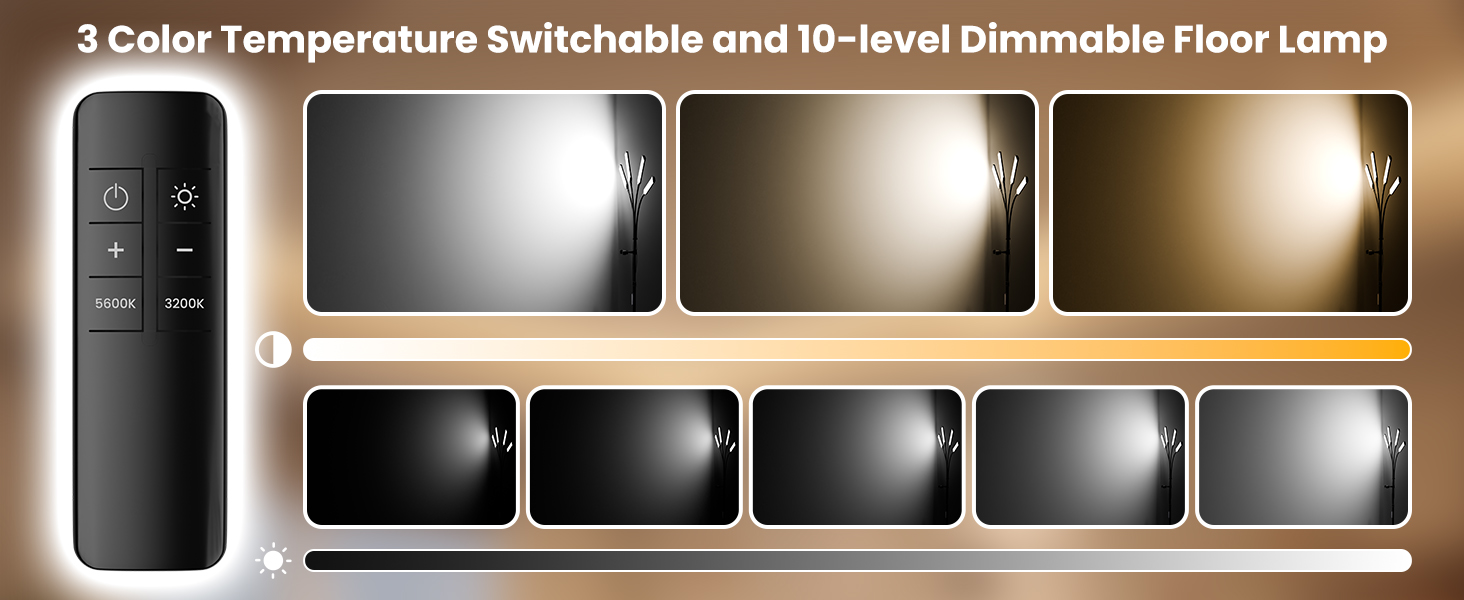 Lash Lamp for Eyelash Extensions