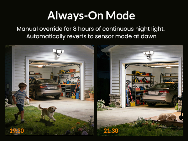 outdoor motion light