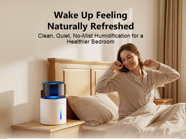 Mist-Free Evaporative Humidifier