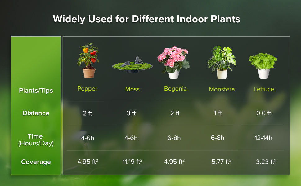 Widely Used for Different Indoor Plants