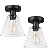 Ascher Industrial Ceiling Light Fixture, Clear Glass Shade, E26 Semi-Flush Mount Ceiling Light fo...