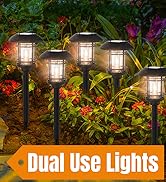 Solar Lights 6 Pack