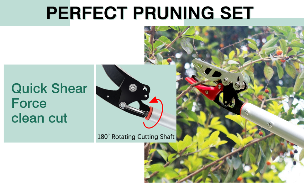 Long reach pruner