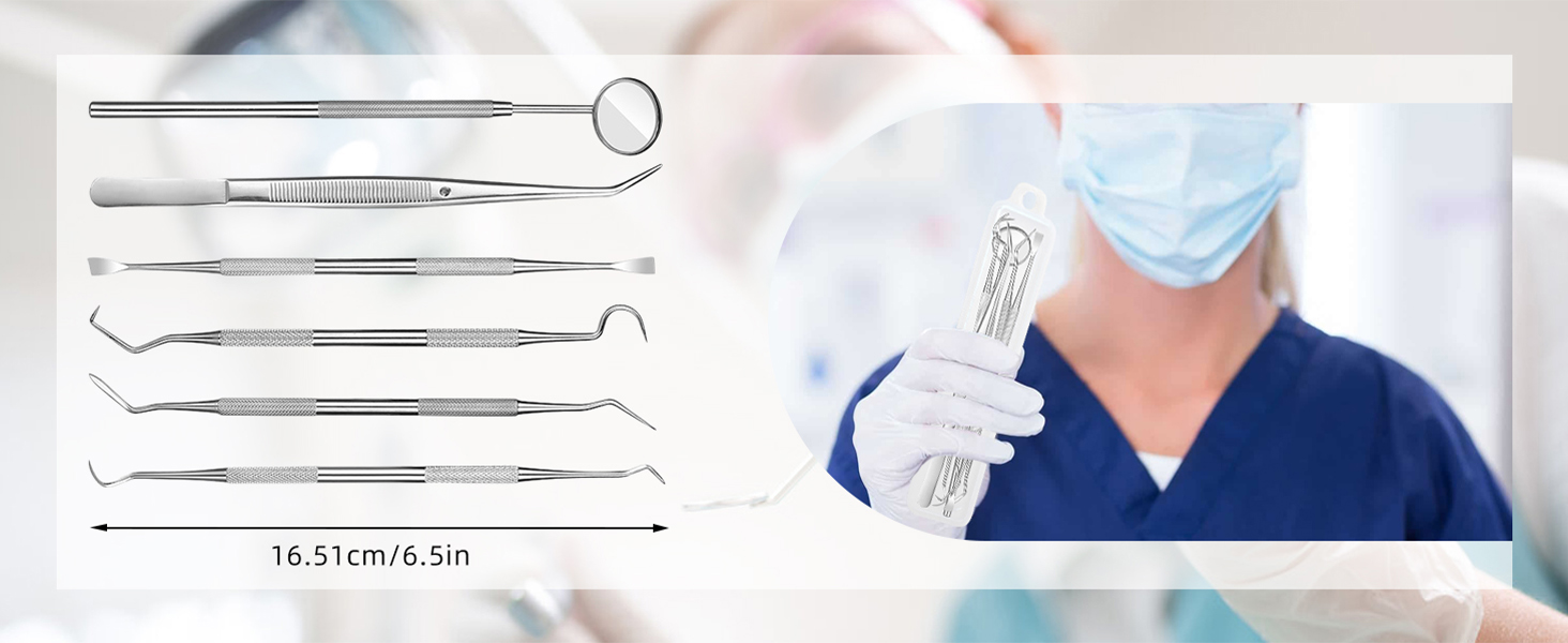 6 Pcs Dental Tools Set