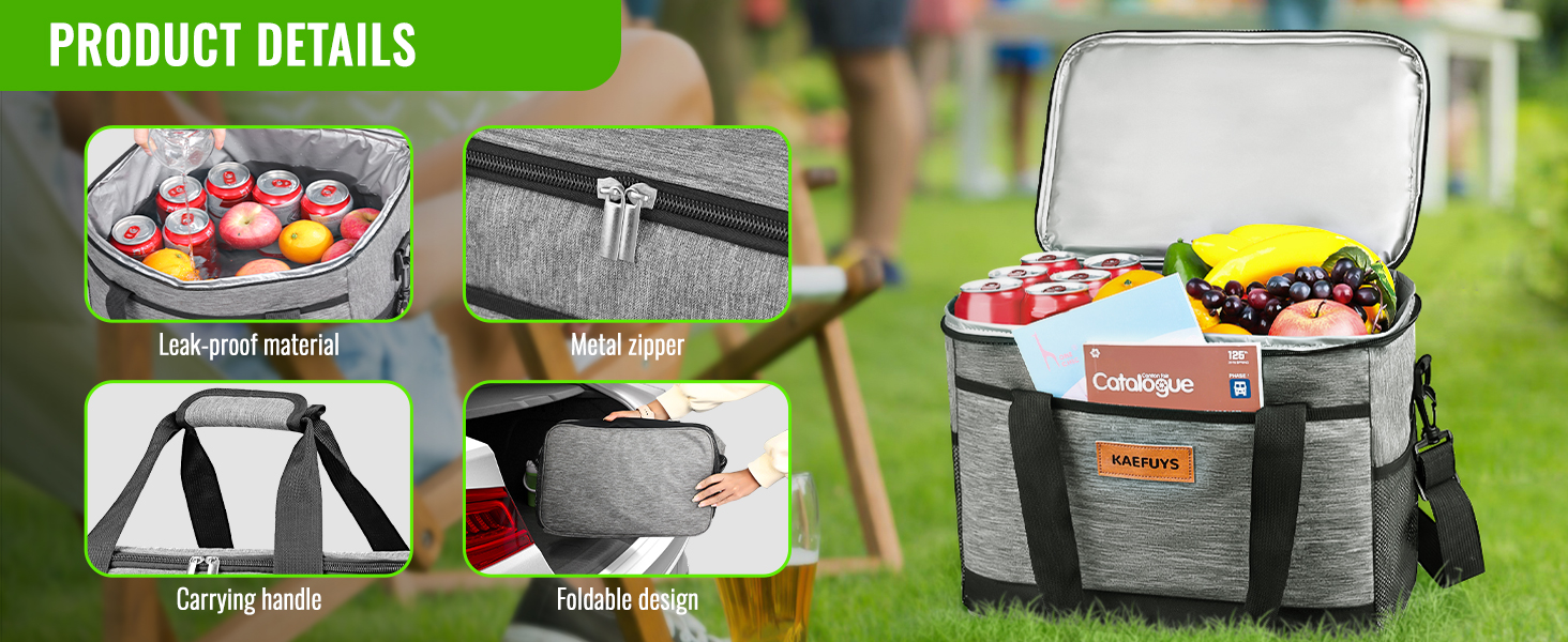 lunch tote bag for women