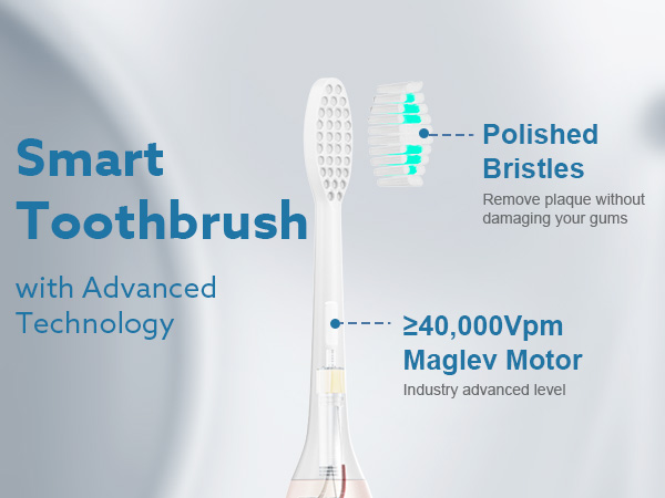 Electric Toothbrush