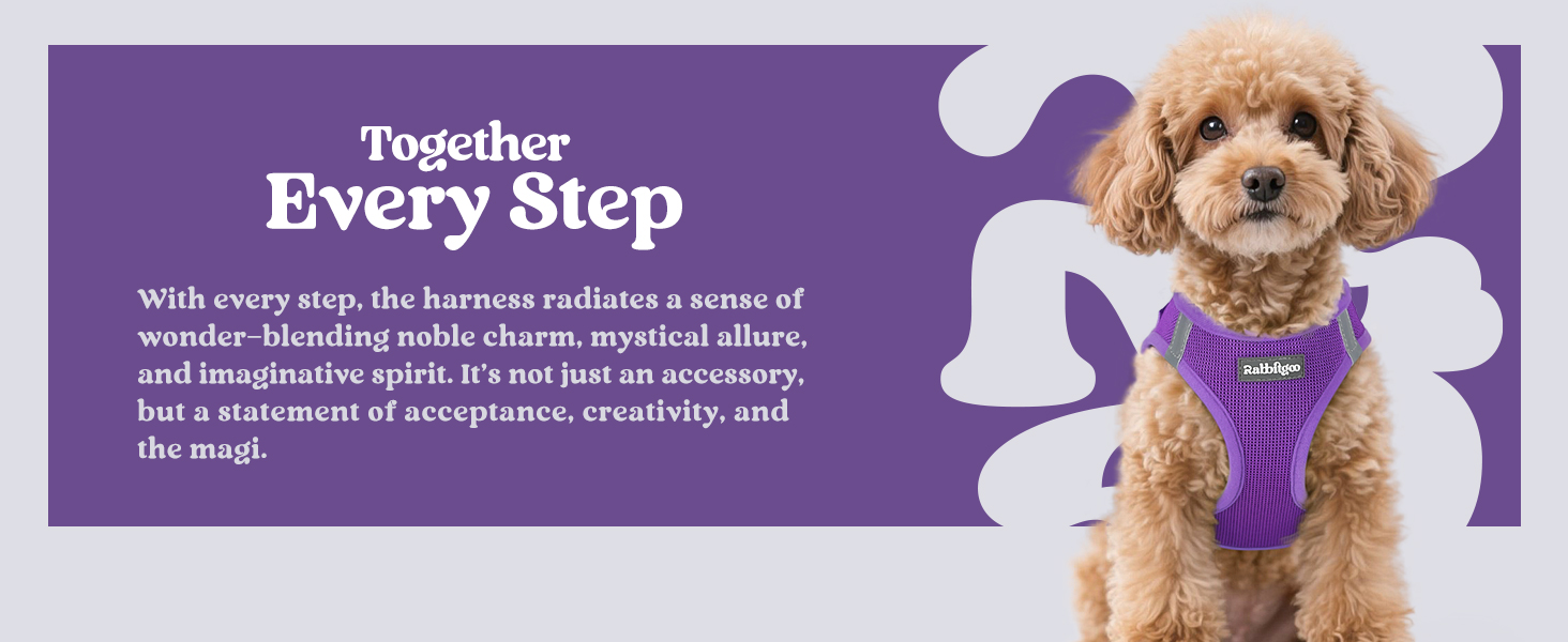purple harness for small dogs