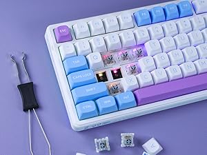 Hot-Swappable