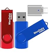 WesData 2 Pack 64GB USB 2.0 Flash Drive and 1 USB C Adapter, Thumb Drive USB Memory Stick Jump Dr...