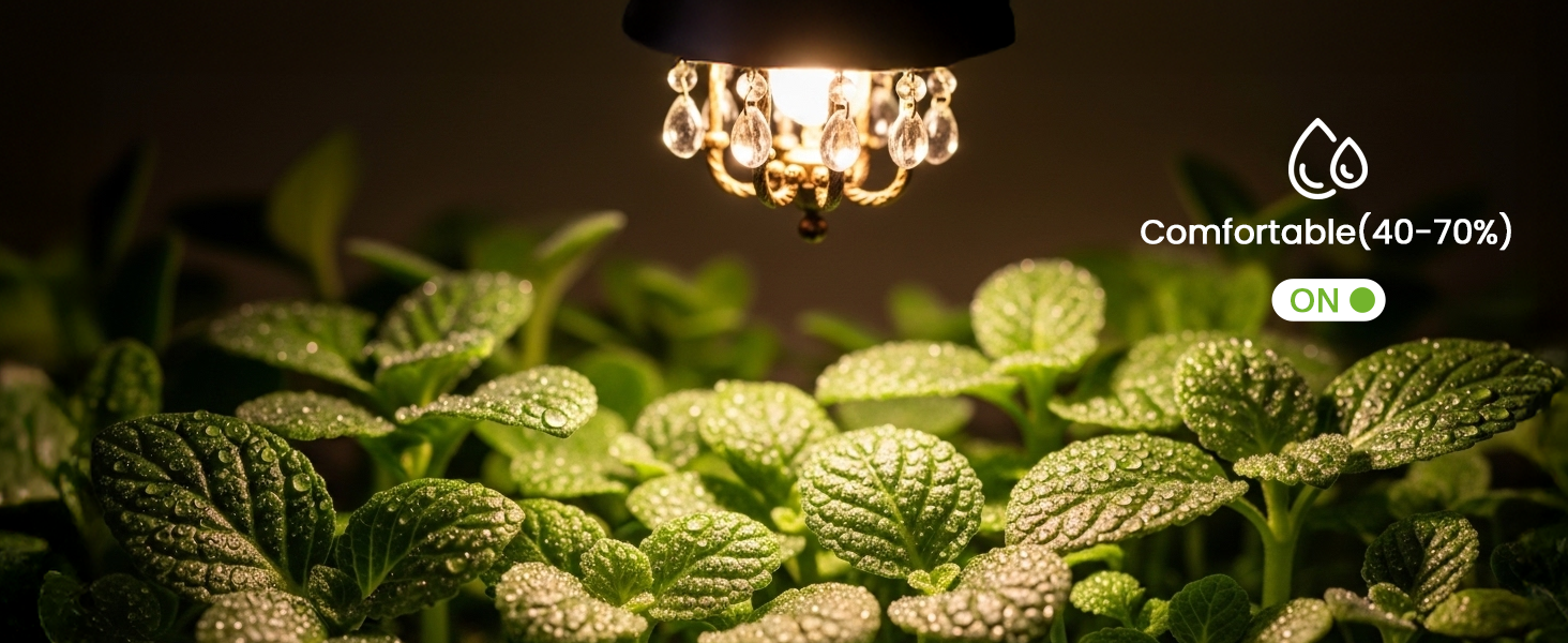 3 way smart dimmer switch