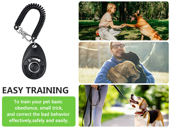 dog treat pouch