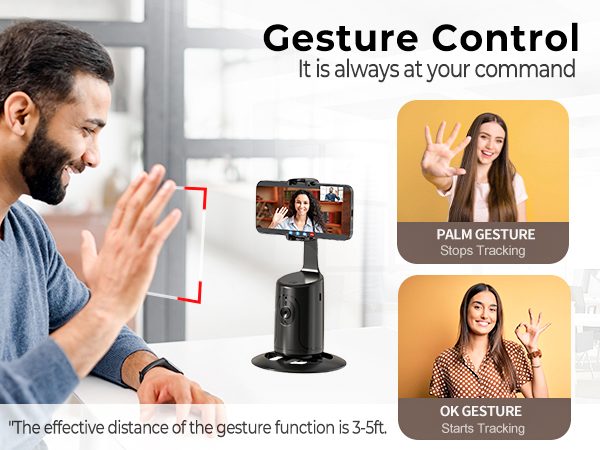 Gesture Control
