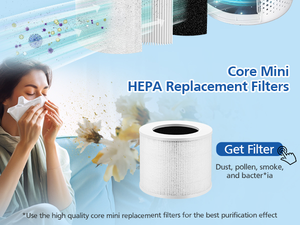 Core mini replacement filter