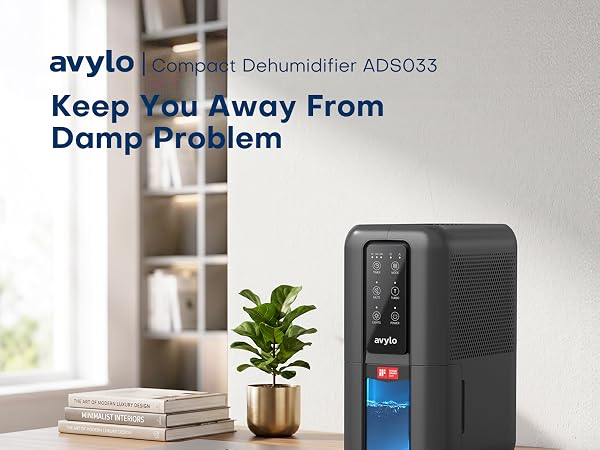 Dehumidifier