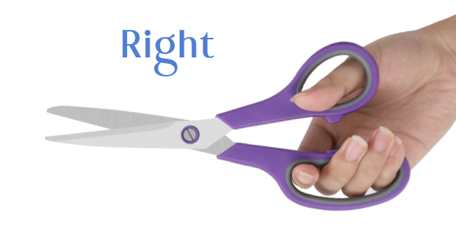 kitchen scissors left hand scissors hand scissors handheld scissors craft shears scissors school