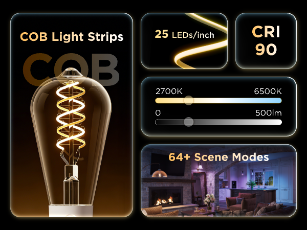 Govee smart edison bulbs ST19