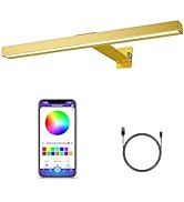 MIOBLUE LED Picture Light with App Control, 16in Battery Painting Display Lamp with APP Music Syn...