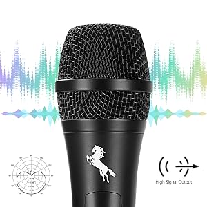 microphone