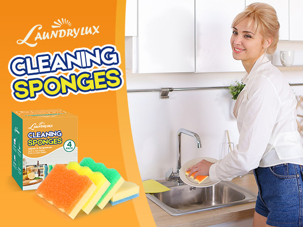 cleaning sponges