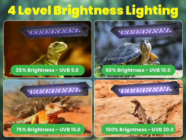 uvb light for reptiles