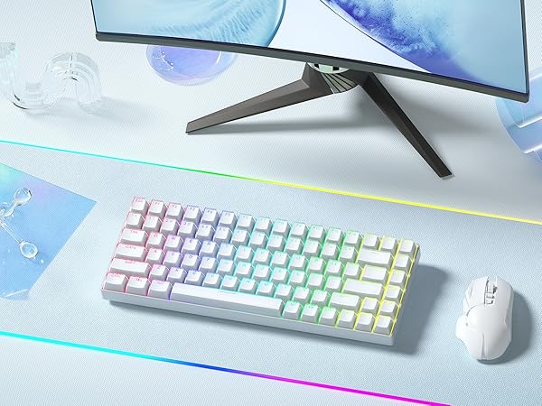 Shine Through PBT Keycaps, Custom Keycaps 60 75 100 Percent OEM Profile