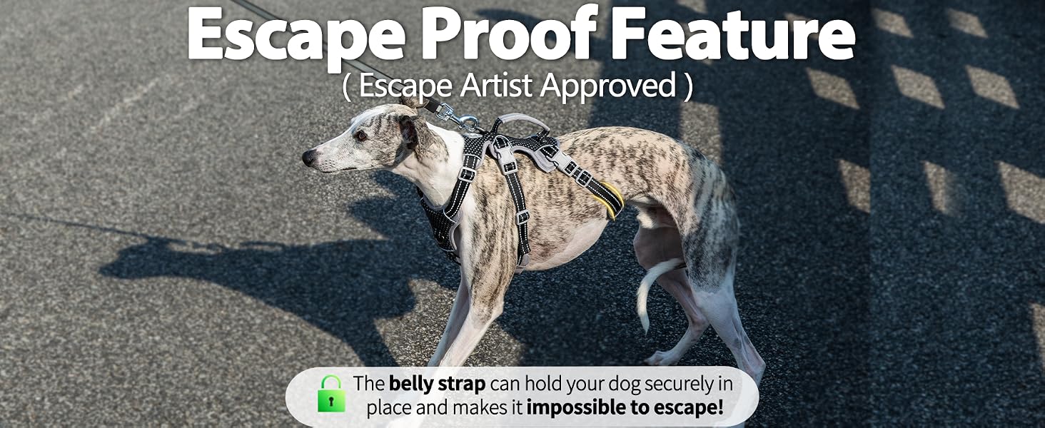 escape proof dog harness