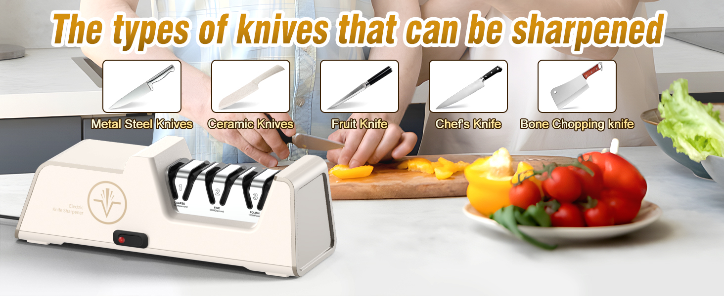 Electric knife sharpener
