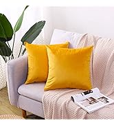 Hibate 2 Pack Soft Velvet Couch Throw Pillow Covers for Sofa Living Room Bedroom 16x16 18x18 20x2...