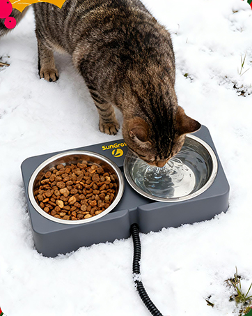 heated cat bowl