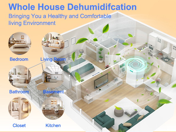 Dehumidifier