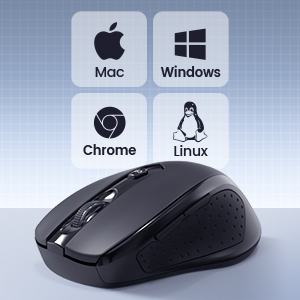 computer mouse