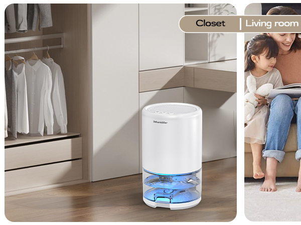 dehumidifier