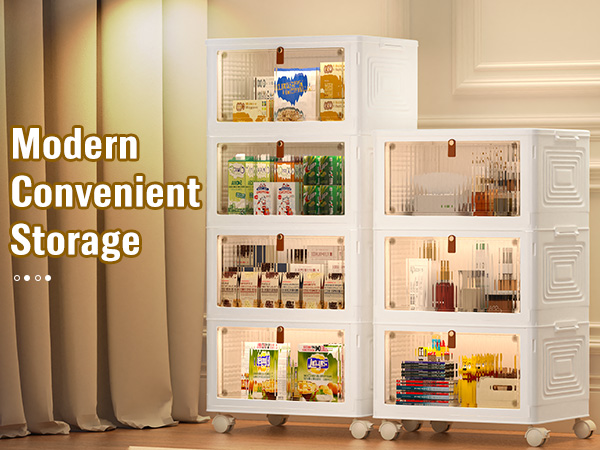convenient house storage organizer