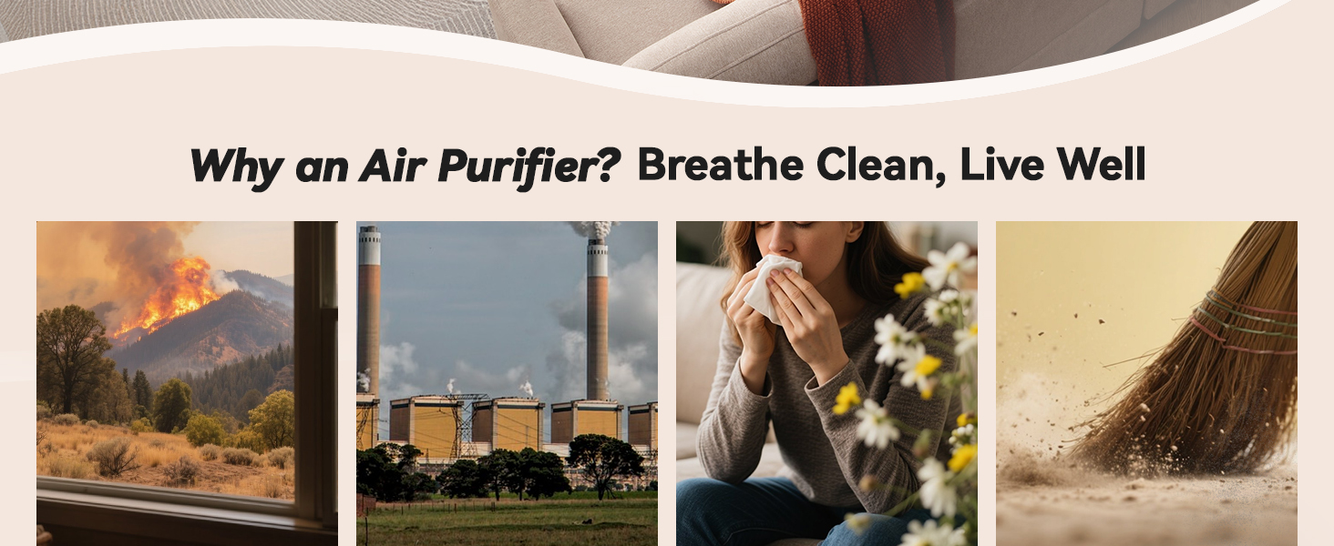 air purifier for home pets