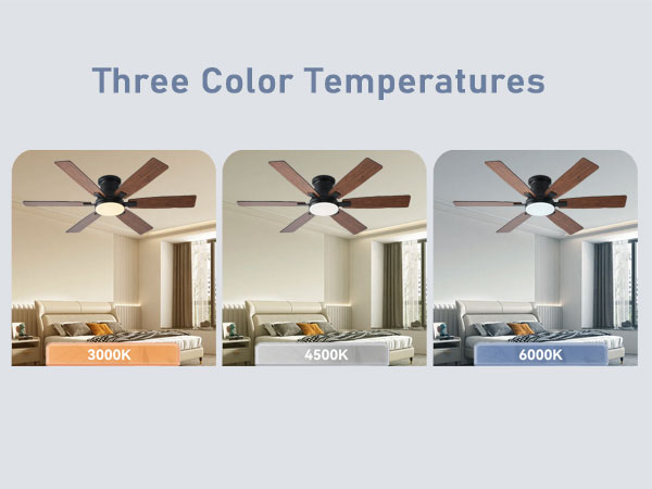 Ceiling Fans with Lights
