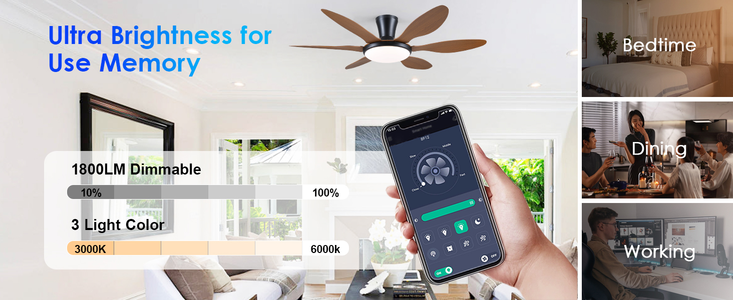 led ceiling fan