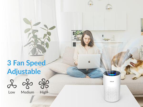 air purifier for home