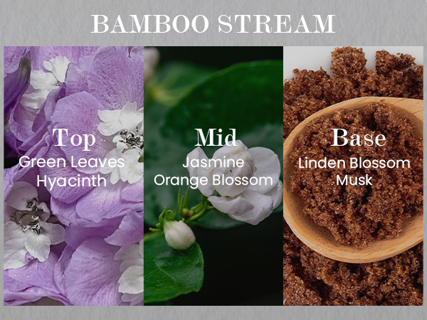 bamboo-m
