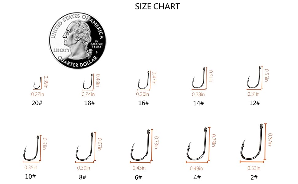 SIZE