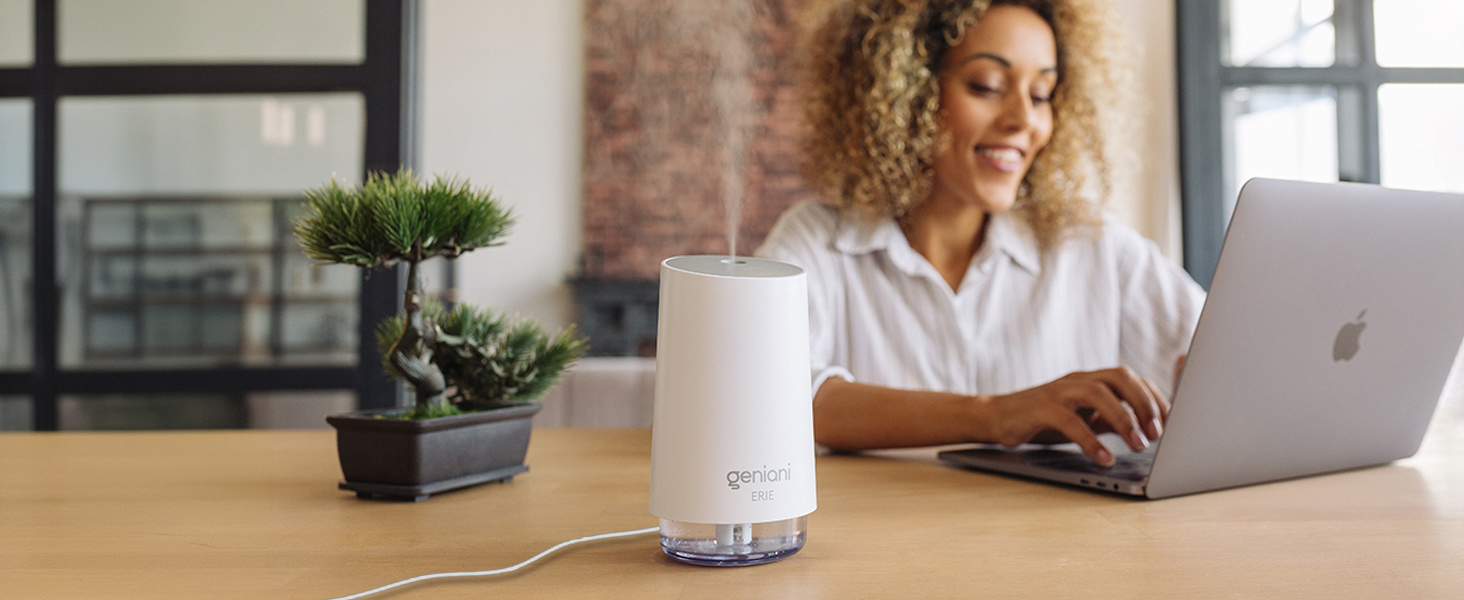 Portable Small Cool Mist Humidifiers 250ML - USB Desktop Humidifier for Plants