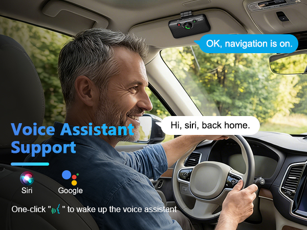 Voice Assistant