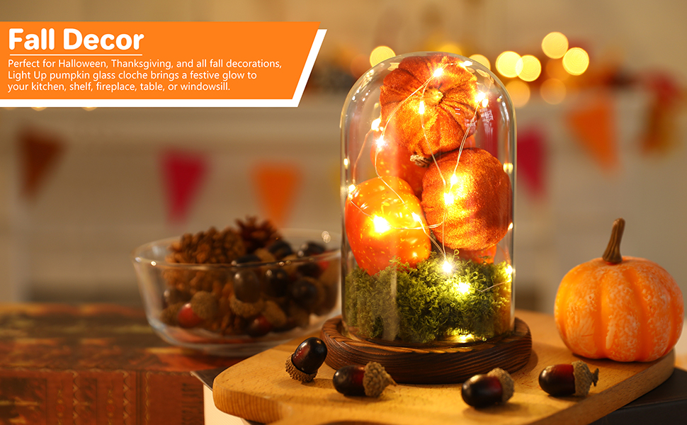 Fall Decor