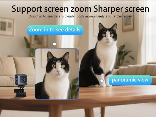hidden spy camera