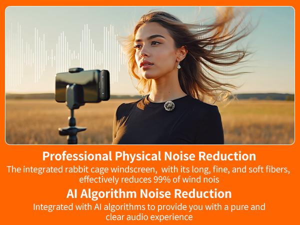 Professional Physical Noise Reduction